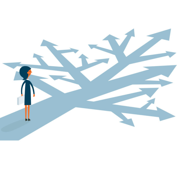 Image of someone looking at a tree of arrows.