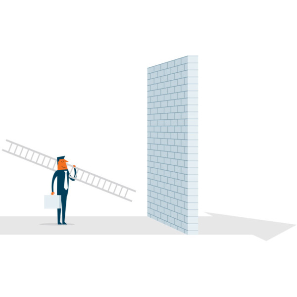 Image of someone with a ladder looking at a wall.